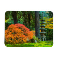 Japanska Trädgårdar På Hösten I Portland, Oregon