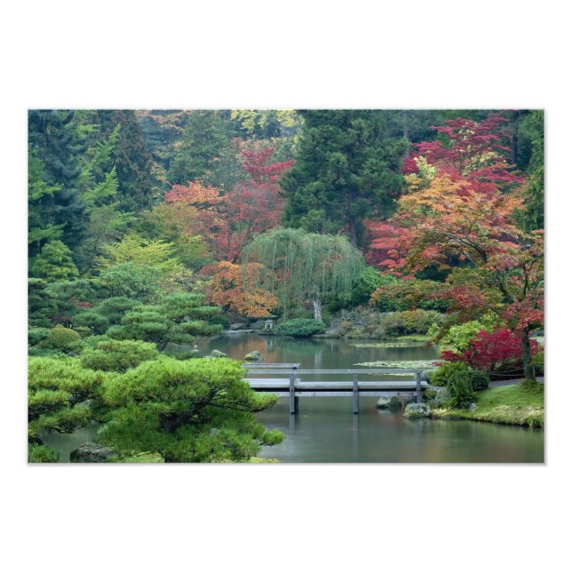Japanska trädgården i Washington Park Fototryck (Framsidan)