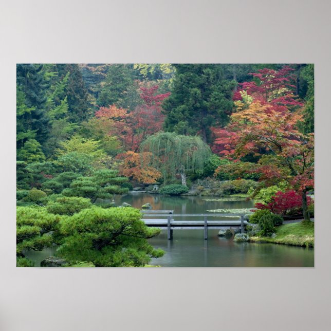 Japanska trädgården i Washington Park Poster (Framsidan)