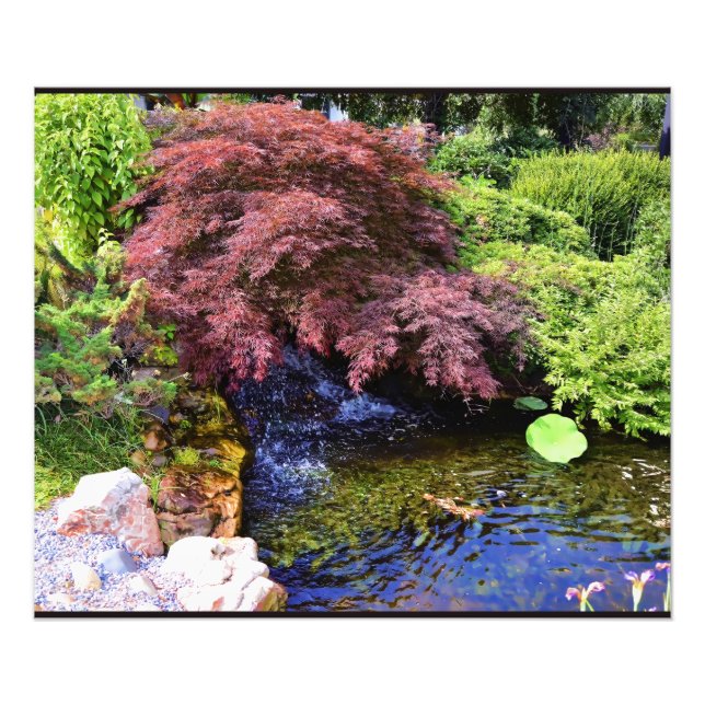 Japanska trädgårdsvattenfall fototryck (Framsidan)
