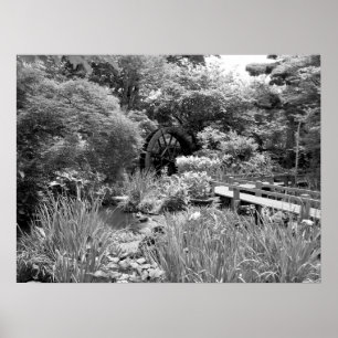 Japanska Vatten Garden Poster