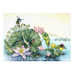 Japanska Vatten Lilies och Lotus Flowers Fototryck