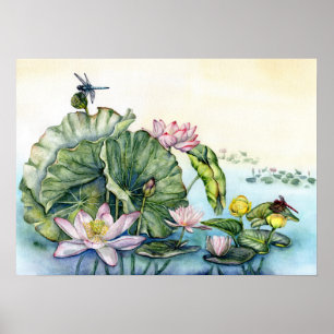 Japanska Vatten Lilies och Lotus Flowers Poster