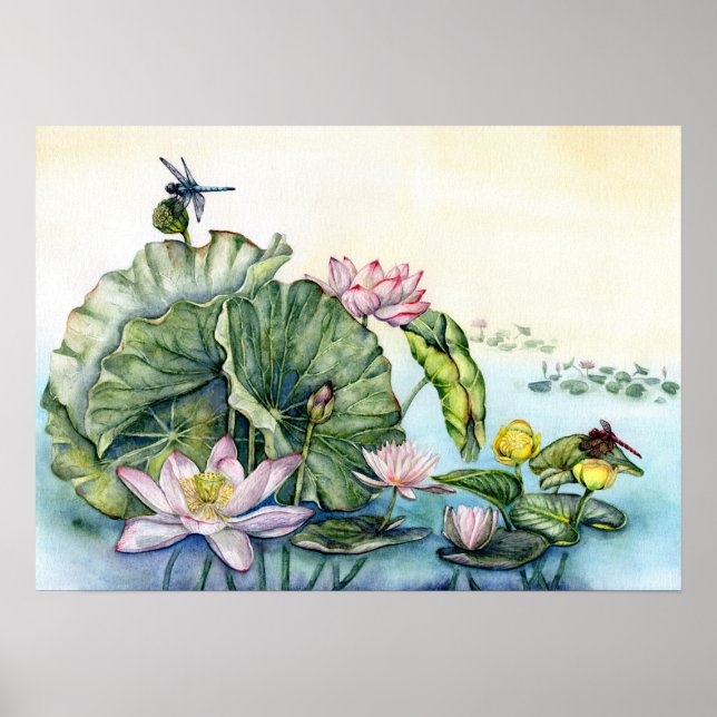Japanska Vatten Lilies och Lotus Flowers Poster (Framsidan)