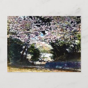 Japanska Vintage Cherry-Blommar Vykort