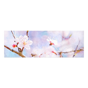 Japanskt körsbär - Sakura i blom Fototryck