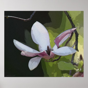 Japanskt Magnoliakonsttryck -24x20 - eller mindre Poster