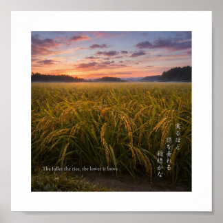 Japanskt Risfält vid Soluppgång – Naturvisdomsutsk Poster