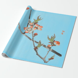 Japanskt tryck av den körsbärsröda blommar som presentpapper