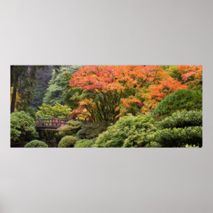 Japanträdgård i nedgångaffisch poster