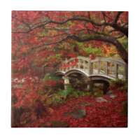 Japanträdgård