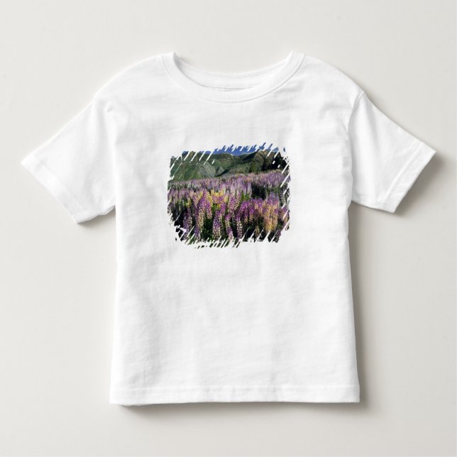 JARBIDGE WILDERNESS, NEVADA. USA. Sprepus lupine T-shirt (Framsida)
