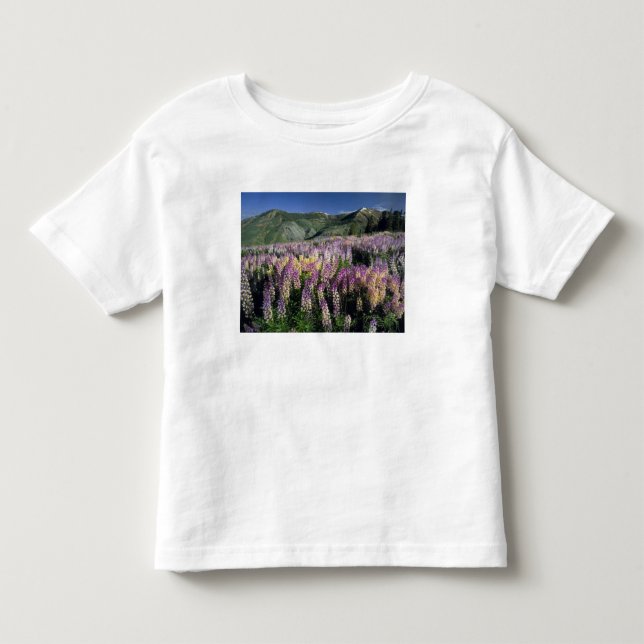 JARBIDGE WILDERNESS, NEVADA. USA. Sprepus lupine T-shirt (Framsida)