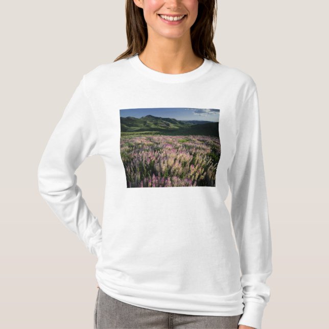 Jarbridge Wilderness and Mountains, Nevada, Spur T-shirt (Framsida)