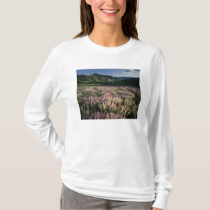 Jarbridge Wilderness och berg, Nevada, Sporre T-shirt