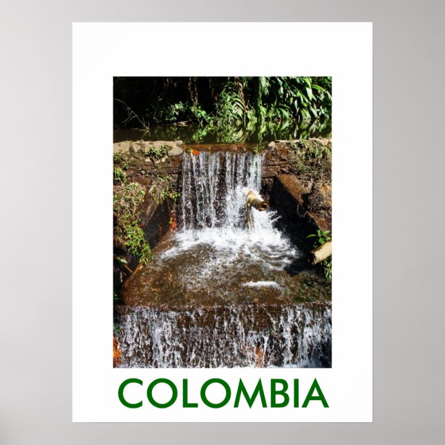 JARDIN BOTANICO, MARSELLA POSTER (Framsidan)