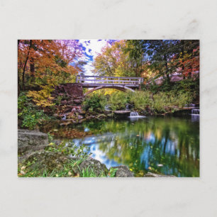 Jardin botanique vykort