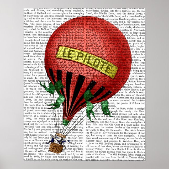 Jardin De Tuileries Luftballong Poster (Framsidan)