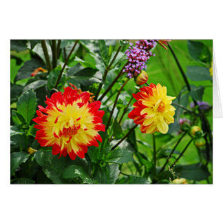 Jardin des Plantes-2 Hälsningskort