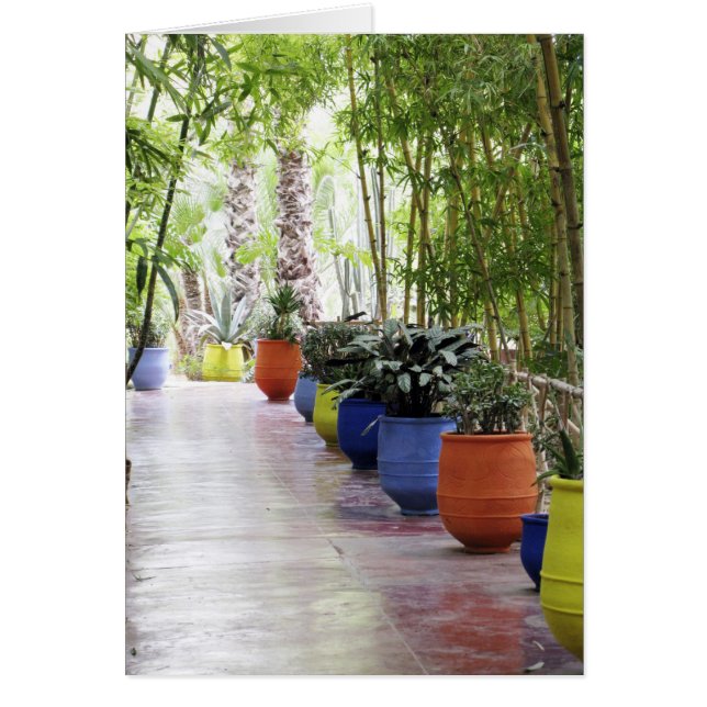 Jardin Majorelle, Majorelle Garden, nu en offentli Hälsningskort (Framsidan)