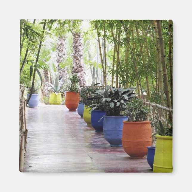 Jardin Majorelle, Majorelle Garden, nu en offentli Magnet (Framsidan)