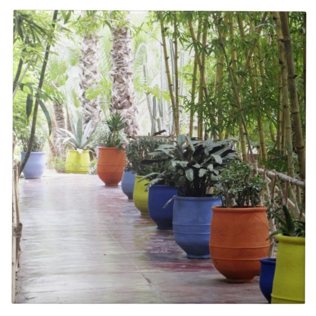 Jardin Majorelle, Majorelle Garden, nu en publik Kakelplatta (Framsidan)
