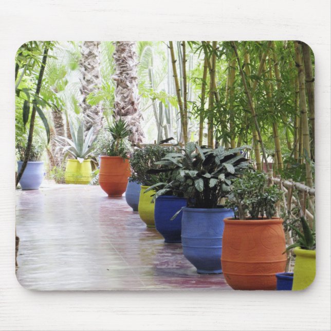 Jardin Majorelle, Majorelle Garden, nu en publik Musmatta (Framsidan)