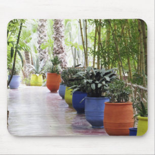 Jardin Majorelle, Majorelle Garden, nu offentligt Musmatta