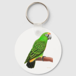 Jardines papegoja Keychain Nyckelring