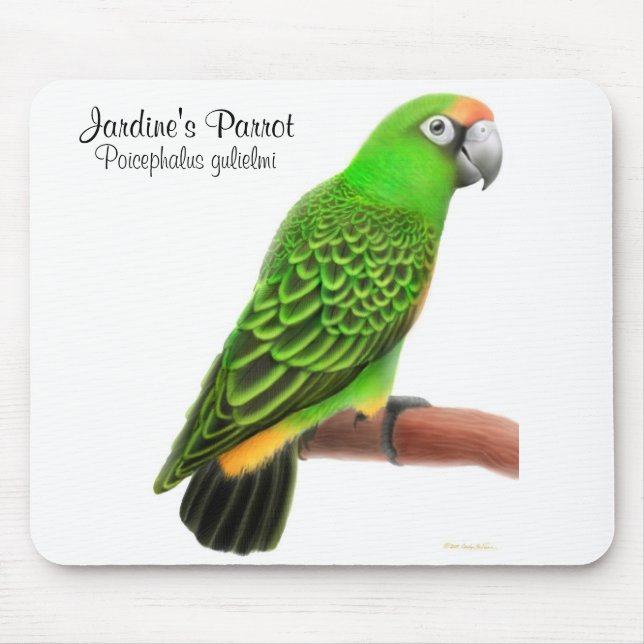 Jardines papegoja Mousepad Musmatta (Framsidan)