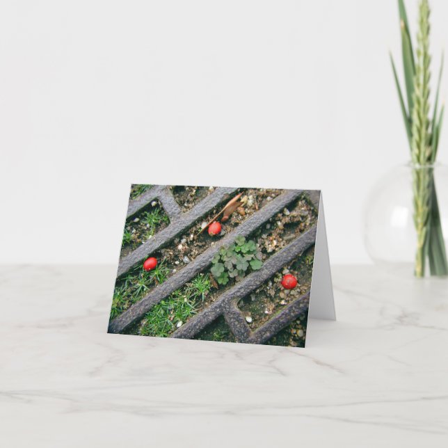 Järn Grate & Berries - Notecard Kort (Framsida)