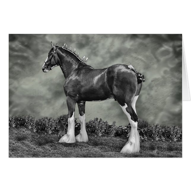 Järn Horse Steele Hälsningskort (Framsidan Horizontal)