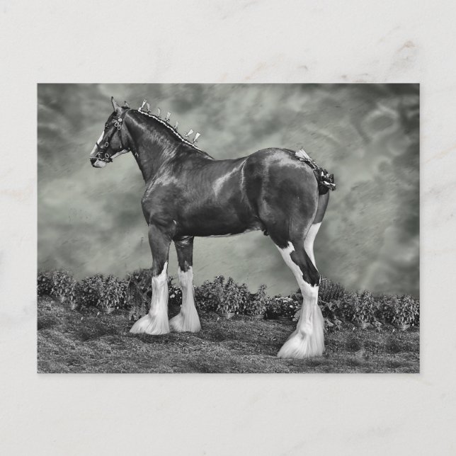 Järn Horse Steele Vykort (Framsida)