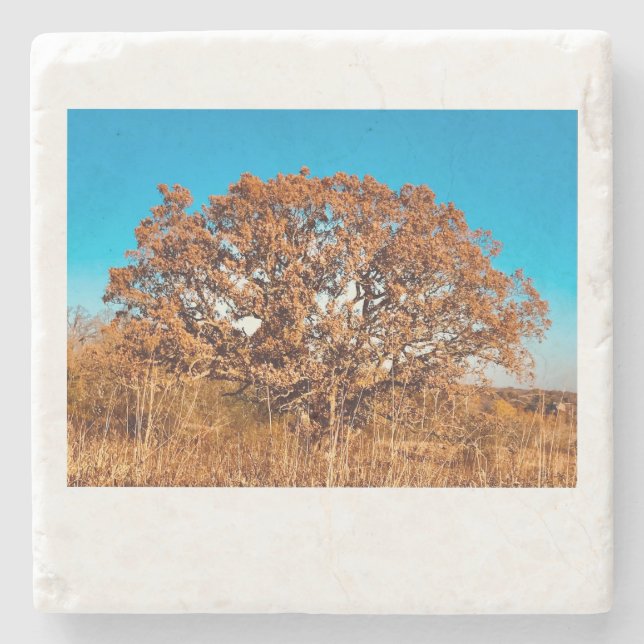 Järn Oak med Underlägg solskensglödsten från blomn (Framsidan)