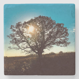Järn Oak Träd vid Soluppgång Underlägg