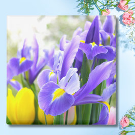 Järn och tulpaner Vår blommor Magnet