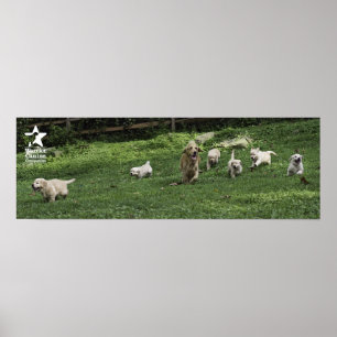 Järnek stojar halva dussin poster