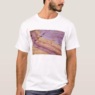 Järnoxider färgar en sandstensformation tee