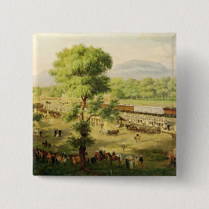 Järnväg i dalen av Mexico, 1869 Knapp