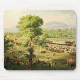 Järnväg i dalen av Mexico, 1869 Musmatta
