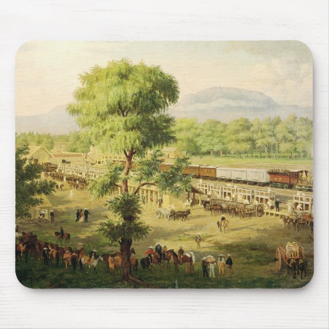 Järnväg i dalen av Mexico, 1869 Musmatta (Framsidan)