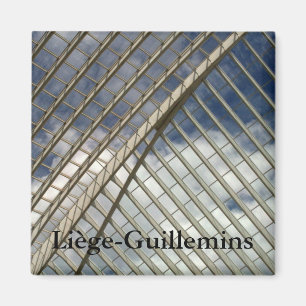 Järnvägen Liège-Guillemins station Magnet