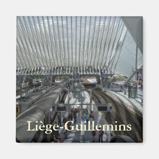 Järnvägen Liège-Guillemins station Magnet