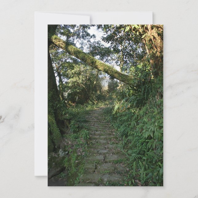 Järnvägen till träd (Framsida)