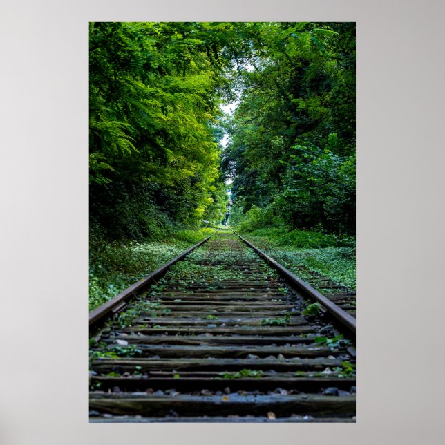 Järnvägsräls genom gröna skogar poster (Framsidan)