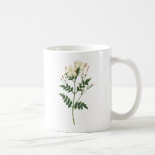 jasmin (Jasminumgrandiflorum) vid Redouté Kaffemugg