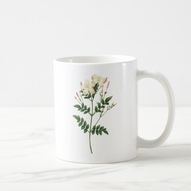 jasmin (Jasminumgrandiflorum) vid Redouté Kaffemugg (Höger)