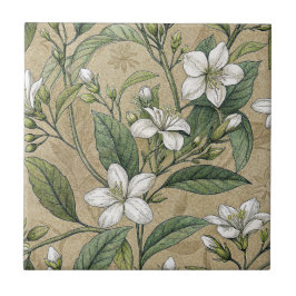 Jasmine-blommor vintage botanicals beige seamless kakelplatta