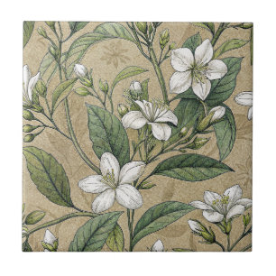 Jasmine-blommor vintage botanicals beige seamless kakelplatta
