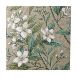 Jasmine-blommor vintage botanicals seamless kakelplatta